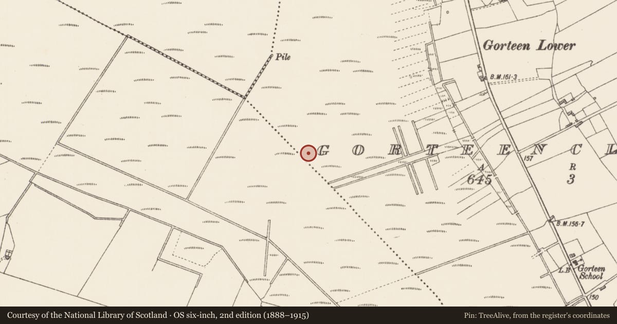 Ordnance Survey six-inch map, 2nd edition (1888–1915) covering the location of Road - gravel/stone trackway - peatland, Derrynabuntale, Gorteenclareen, County Longford, with a pin at the register's coordinates