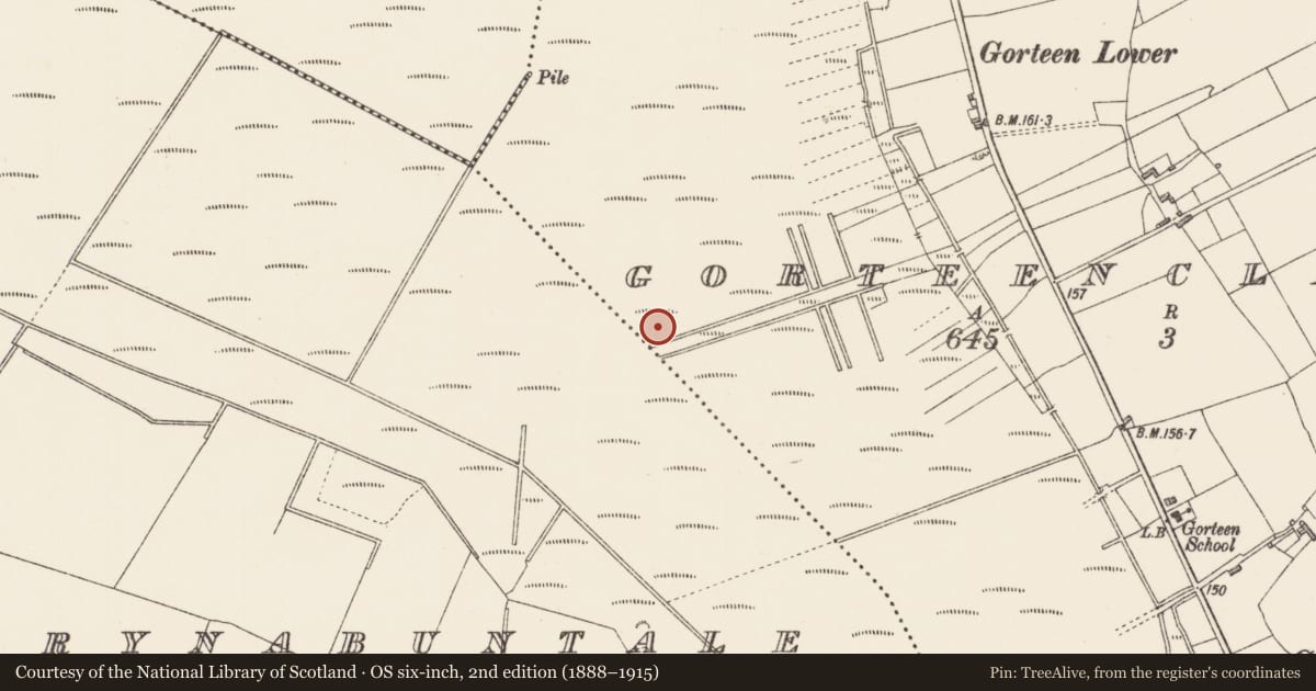 Ordnance Survey six-inch map, 2nd edition (1888–1915) covering the location of Road - class 1 togher, Derrynabuntale, Gorteenclareen, County Longford, with a pin at the register's coordinates