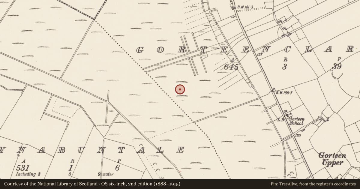Ordnance Survey six-inch map, 2nd edition (1888–1915) covering the location of Road - class 1 togher, Derrynabuntale, Gorteenclareen, County Longford, with a pin at the register's coordinates