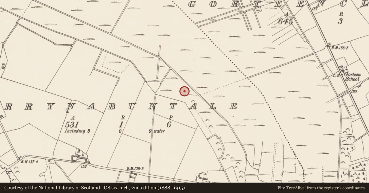 Ordnance Survey six-inch map, 2nd edition (1888–1915) covering the location of Road - class 3 togher, Derrynabuntale, Gorteenclareen, County Longford, with a pin at the register's coordinates