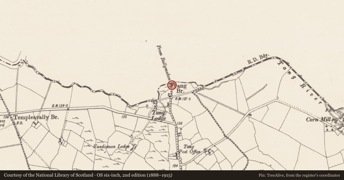 Ordnance Survey six-inch map, 2nd edition (1888–1915) covering the location of Bridge, Rathmore, County Longford, with a pin at the register's coordinates