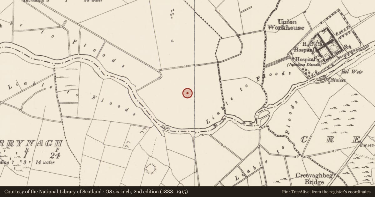 Ordnance Survey six-inch map, 2nd edition (1888–1915) covering the location of Cultivation ridges, Castlecore, County Longford, with a pin at the register's coordinates