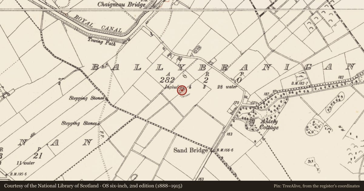 Ordnance Survey six-inch map, 2nd edition (1888–1915) covering the location of Ringfort - rath, Ballybranigan, County Longford, with a pin at the register's coordinates