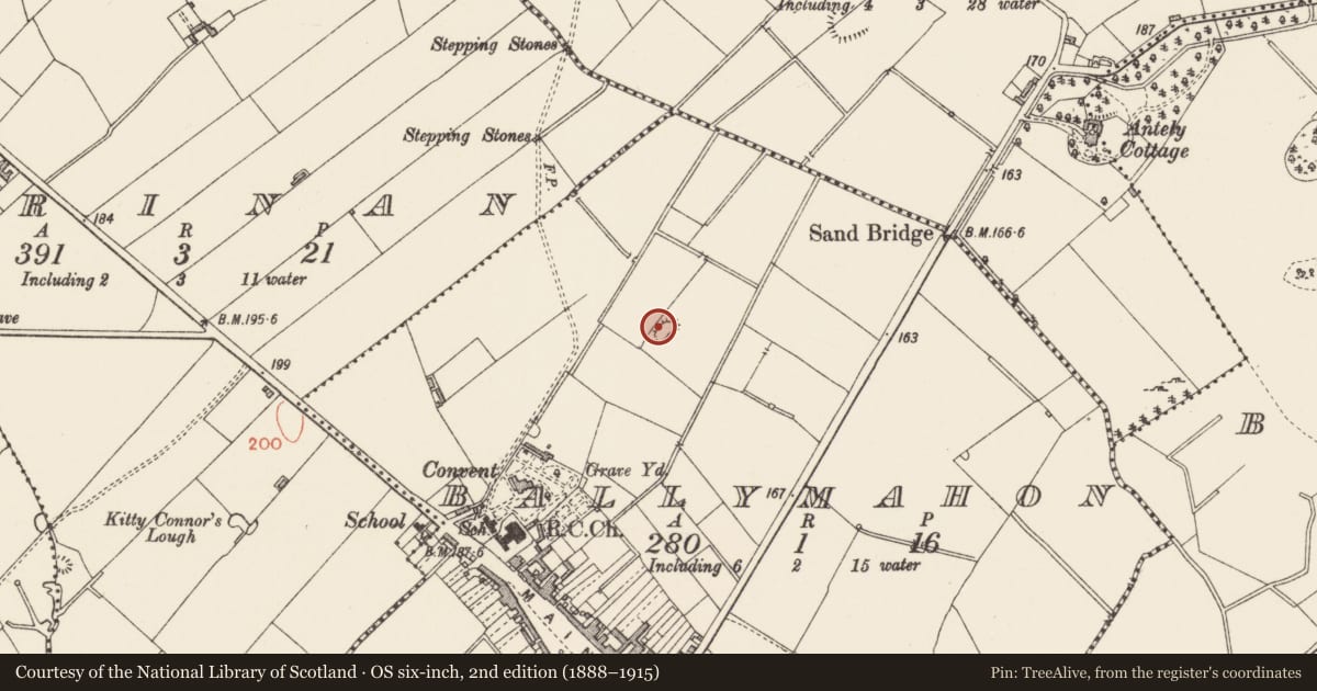 Ordnance Survey six-inch map, 2nd edition (1888–1915) covering the location of Ringfort - rath, Ballymahon, County Longford, with a pin at the register's coordinates