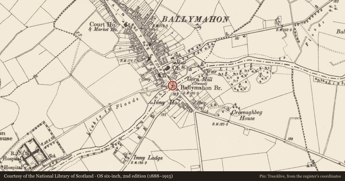 Ordnance Survey six-inch map, 2nd edition (1888–1915) covering the location of Bridge, Ballymahon, County Longford, with a pin at the register's coordinates