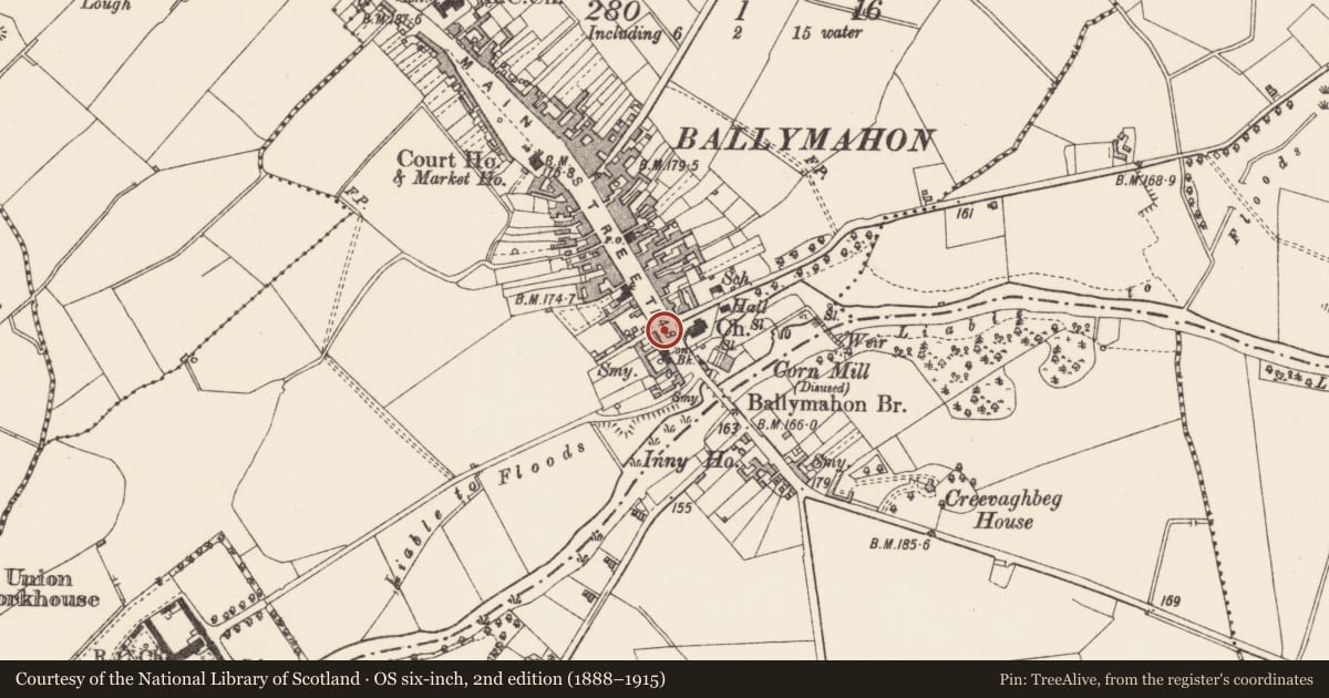 Ordnance Survey six-inch map, 2nd edition (1888–1915) covering the location of Historic town, Ballymahon, County Longford, with a pin at the register's coordinates