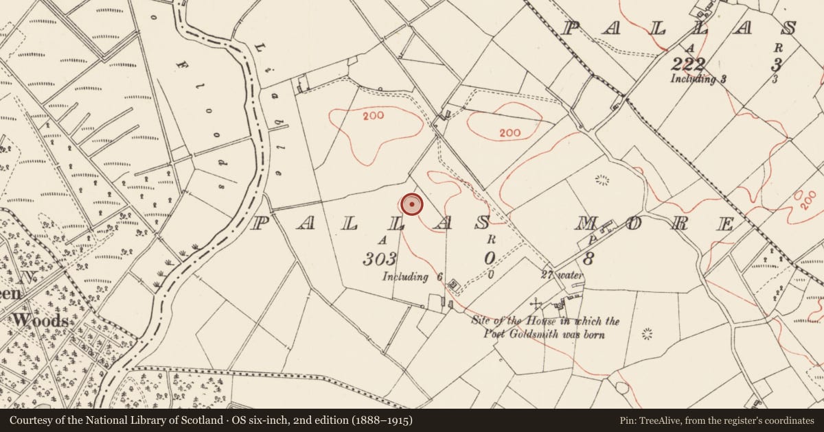 Ordnance Survey six-inch map, 2nd edition (1888–1915) covering the location of Ringfort - rath, Pallas More, County Longford, with a pin at the register's coordinates