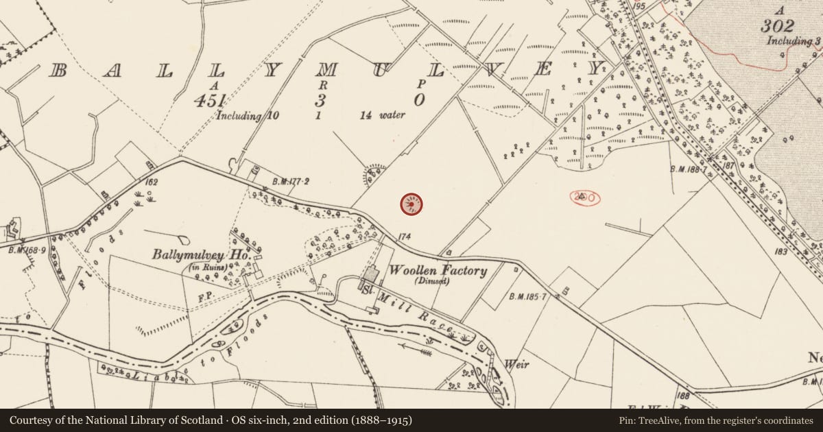Ordnance Survey six-inch map, 2nd edition (1888–1915) covering the location of Designed landscape - tree-ring, Ballymulvey, County Longford, with a pin at the register's coordinates