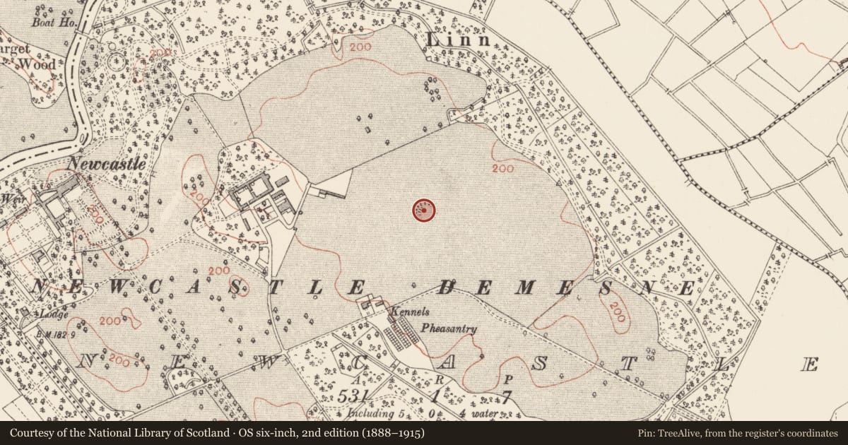 Ordnance Survey six-inch map, 2nd edition (1888–1915) covering the location of Ringfort - rath, Newcastle, County Longford, with a pin at the register's coordinates
