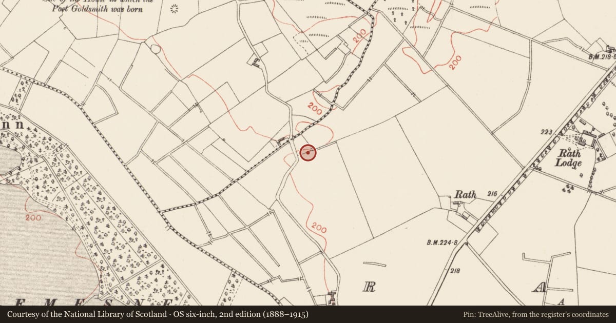 Ordnance Survey six-inch map, 2nd edition (1888–1915) covering the location of Enclosure, Rath, County Longford, with a pin at the register's coordinates