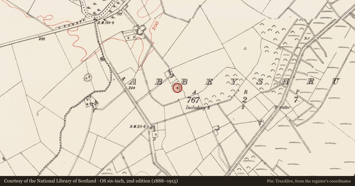 Ordnance Survey six-inch map, 2nd edition (1888–1915) covering the location of Ringfort - rath, Abbeyshrule, County Longford, with a pin at the register's coordinates