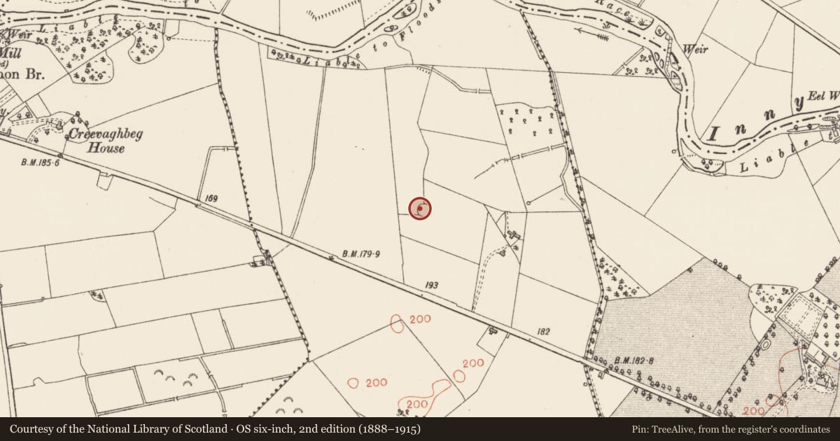 Ordnance Survey six-inch map, 2nd edition (1888–1915) covering the location of Ringfort - rath, Creevaghmore, County Longford, with a pin at the register's coordinates