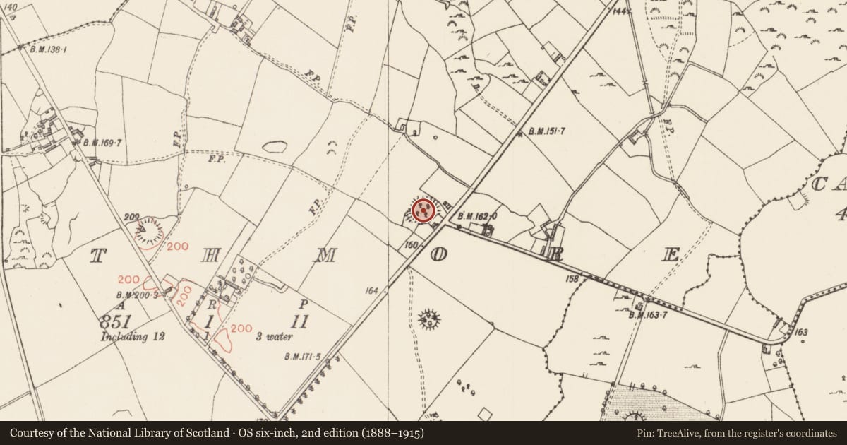 Ordnance Survey six-inch map, 2nd edition (1888–1915) covering the location of Ringfort - rath, Rathmore, County Longford, with a pin at the register's coordinates