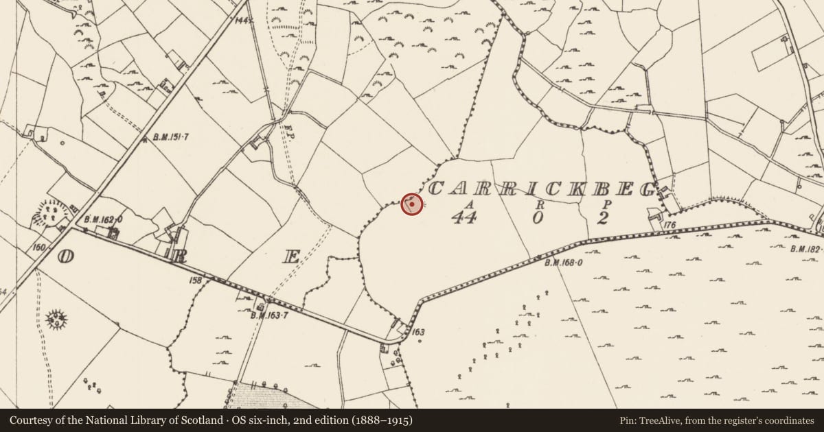 Ordnance Survey six-inch map, 2nd edition (1888–1915) covering the location of Enclosure, Carrickbeg, County Longford, with a pin at the register's coordinates