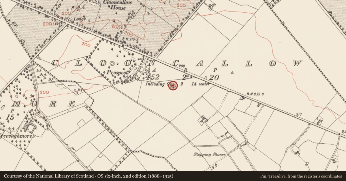 Ordnance Survey six-inch map, 2nd edition (1888–1915) covering the location of Enclosure, Clooncallow, County Longford, with a pin at the register's coordinates