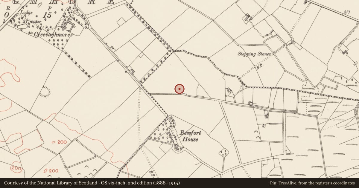 Ordnance Survey six-inch map, 2nd edition (1888–1915) covering the location of Enclosure, Clooncullen, County Longford, with a pin at the register's coordinates