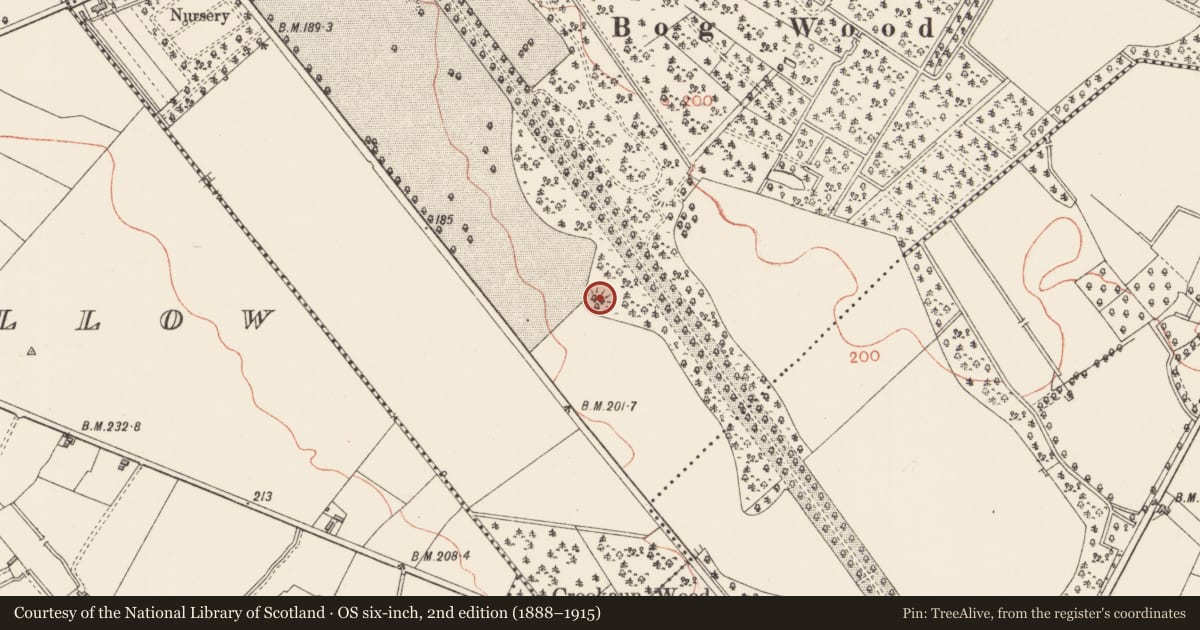 Ordnance Survey six-inch map, 2nd edition (1888–1915) covering the location of Ringfort - rath, Newcastle, County Longford, with a pin at the register's coordinates