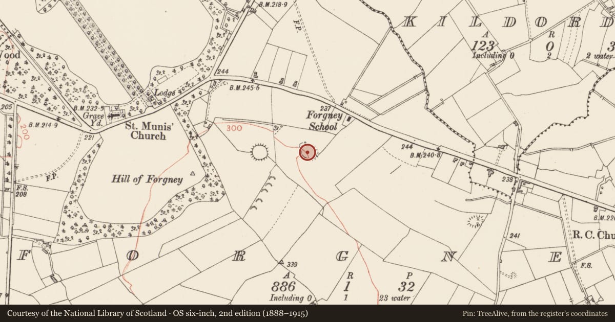 Ordnance Survey six-inch map, 2nd edition (1888–1915) covering the location of Ringfort - rath, Forgney, County Longford, with a pin at the register's coordinates