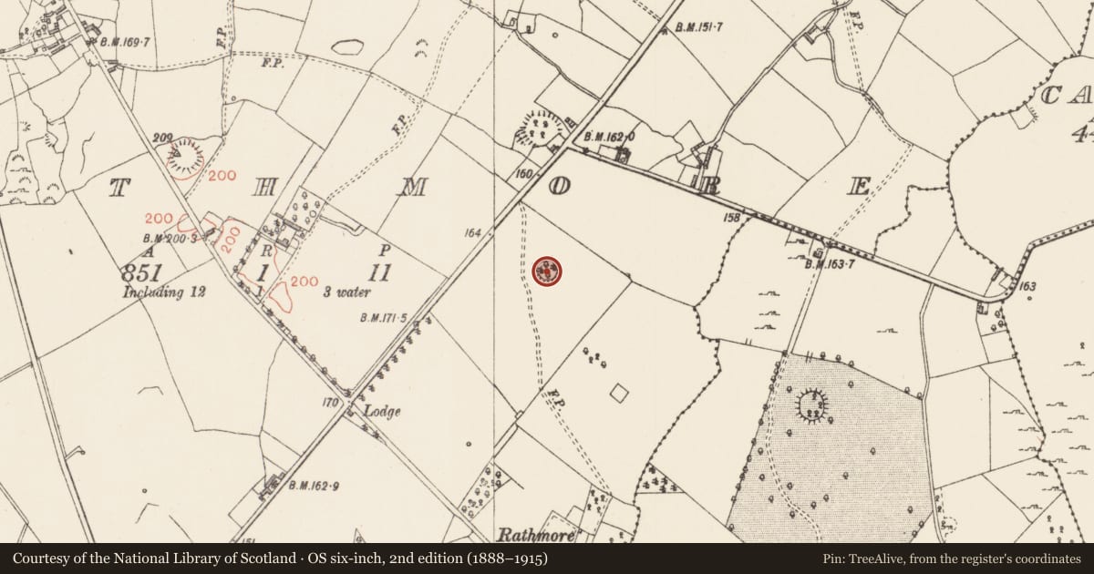 Ordnance Survey six-inch map, 2nd edition (1888–1915) covering the location of Ringfort - rath, Rathmore, County Longford, with a pin at the register's coordinates