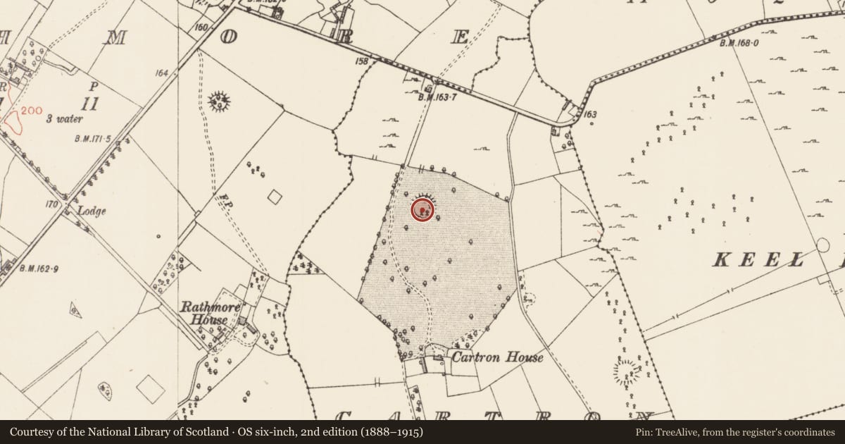 Ordnance Survey six-inch map, 2nd edition (1888–1915) covering the location of Ringfort - rath, Cartron, County Longford, with a pin at the register's coordinates