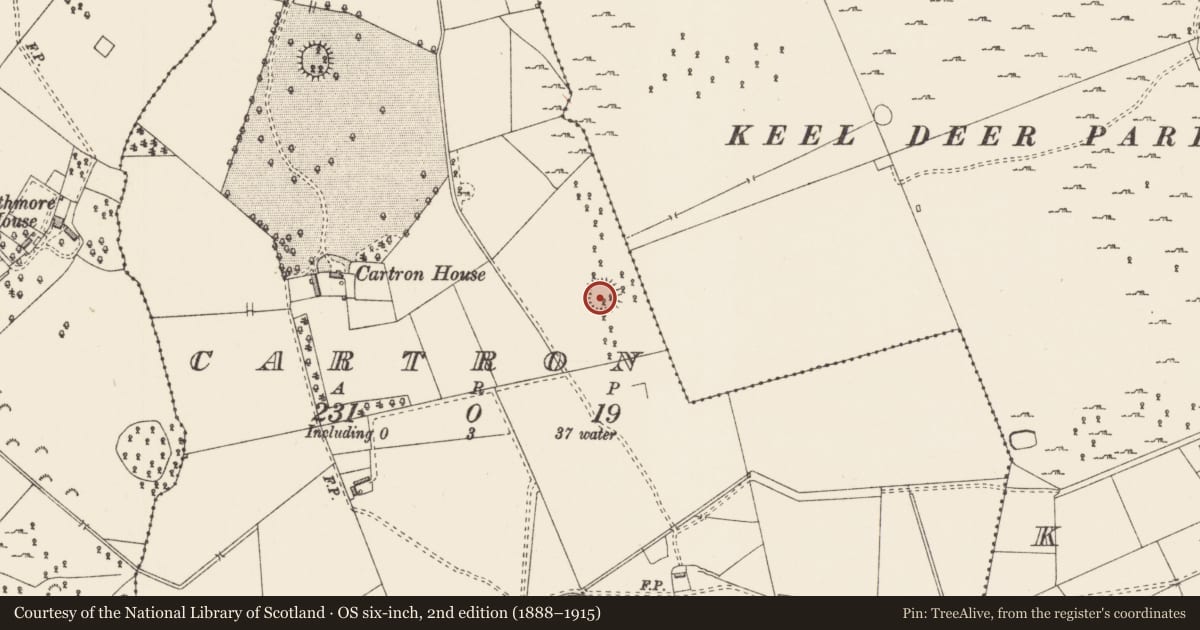 Ordnance Survey six-inch map, 2nd edition (1888–1915) covering the location of Ringfort - rath, Cartron, County Longford, with a pin at the register's coordinates