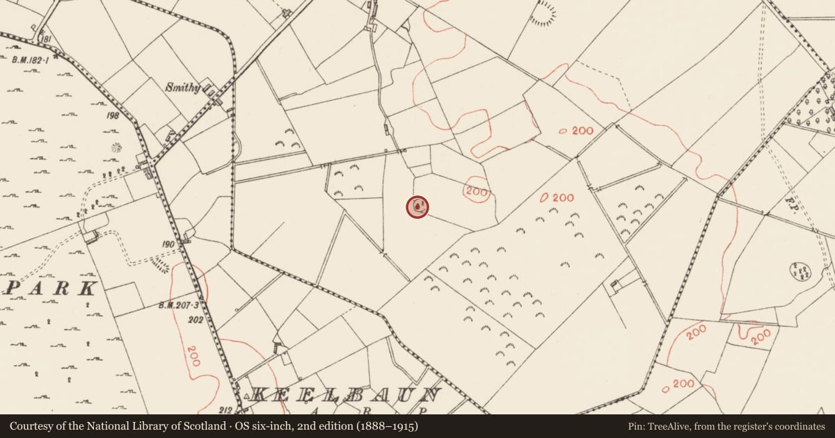 Ordnance Survey six-inch map, 2nd edition (1888–1915) covering the location of Ringfort - rath, Creevaghmore, County Longford, with a pin at the register's coordinates