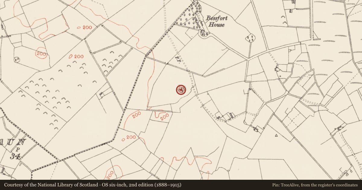 Ordnance Survey six-inch map, 2nd edition (1888–1915) covering the location of Ringfort - rath, Clooncullen, County Longford, with a pin at the register's coordinates