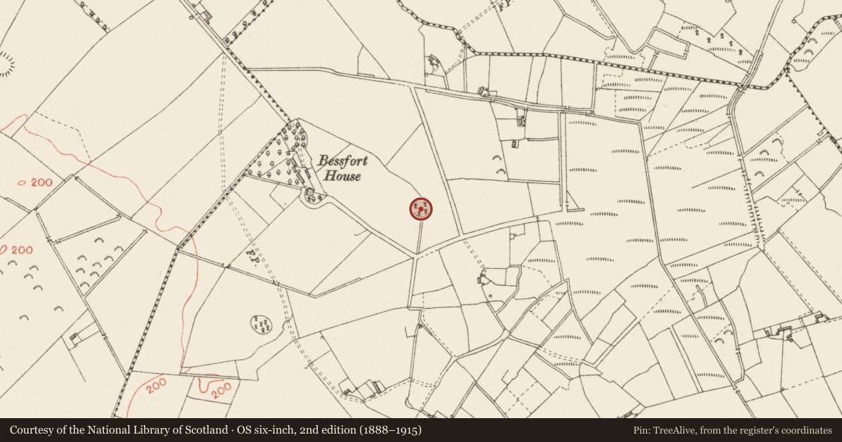 Ordnance Survey six-inch map, 2nd edition (1888–1915) covering the location of Enclosure, Clooncullen, County Longford, with a pin at the register's coordinates