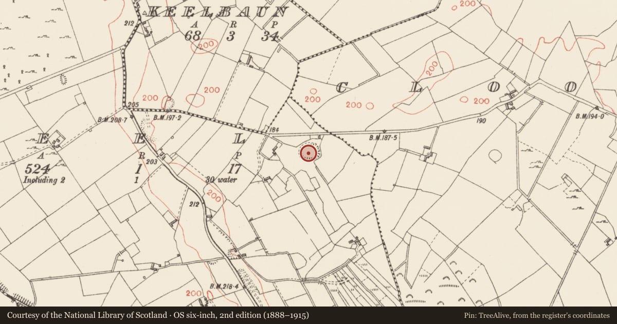 Ordnance Survey six-inch map, 2nd edition (1888–1915) covering the location of Ringfort - rath, Keel, County Longford, with a pin at the register's coordinates