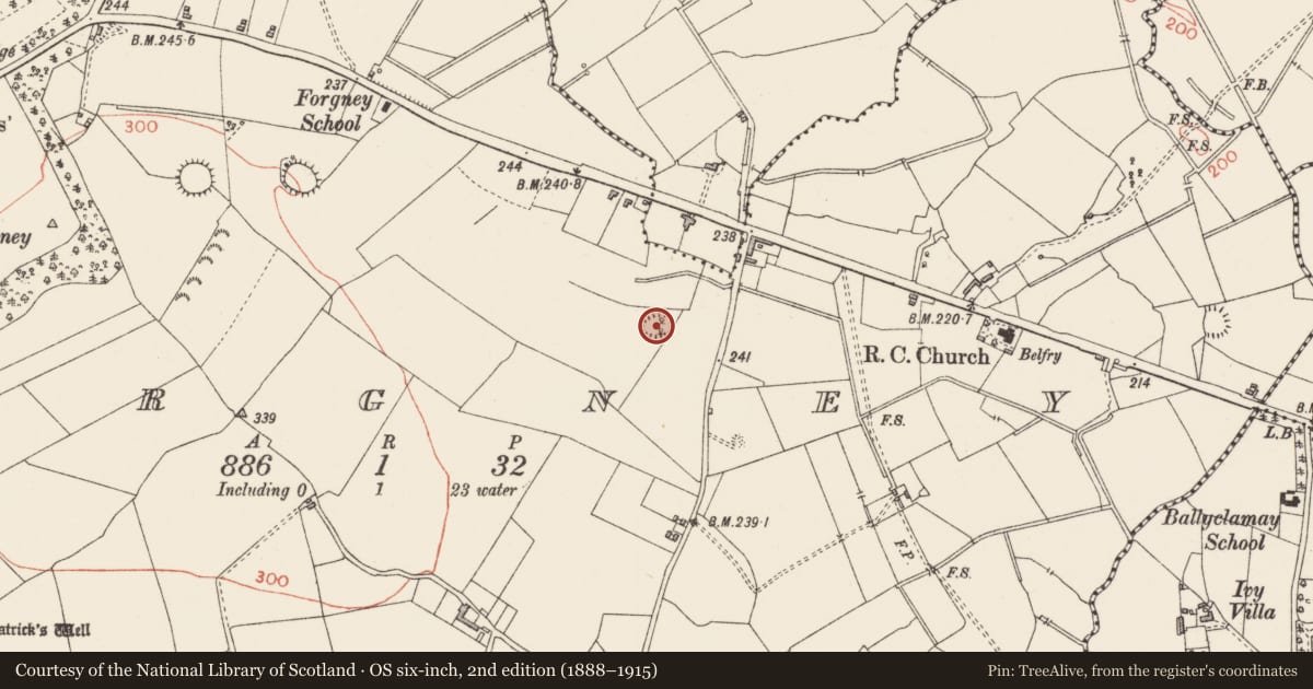 Ordnance Survey six-inch map, 2nd edition (1888–1915) covering the location of Ringfort - rath, Forgney, County Longford, with a pin at the register's coordinates