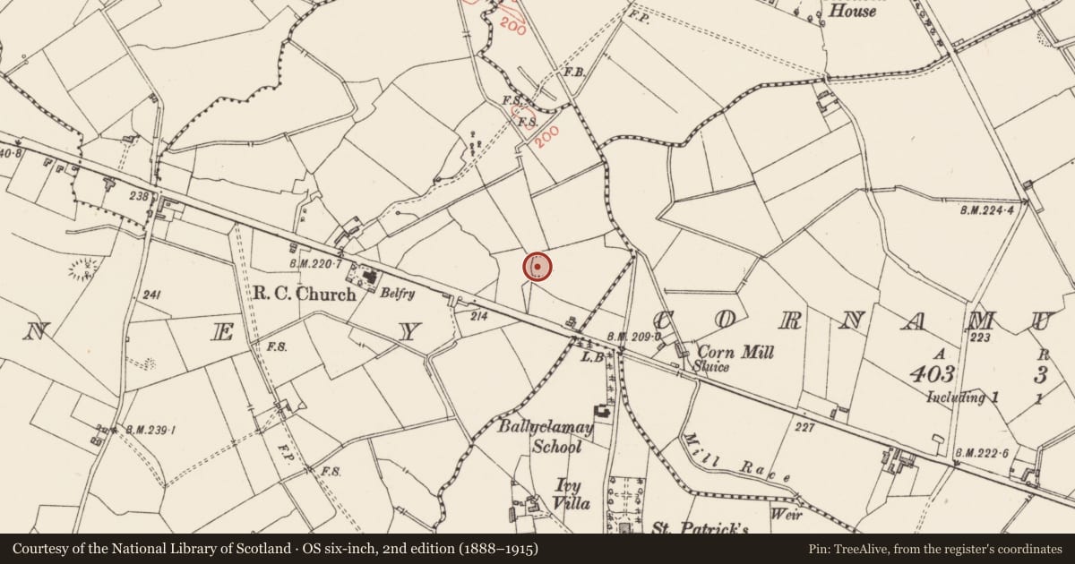 Ordnance Survey six-inch map, 2nd edition (1888–1915) covering the location of Ringfort - rath, Forgney, County Longford, with a pin at the register's coordinates