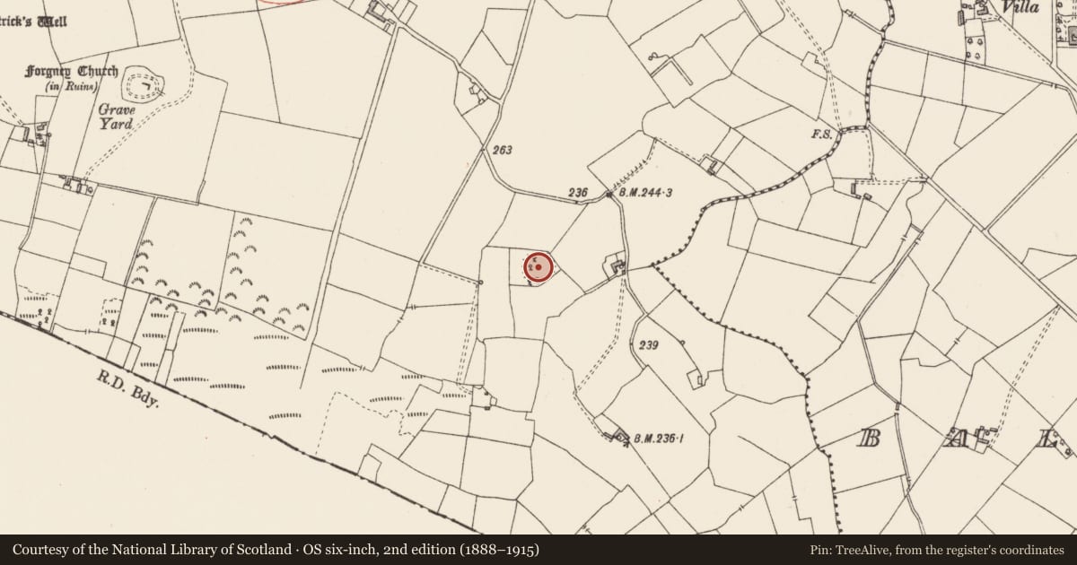 Ordnance Survey six-inch map, 2nd edition (1888–1915) covering the location of Ringfort - rath, Forgney, County Longford, with a pin at the register's coordinates