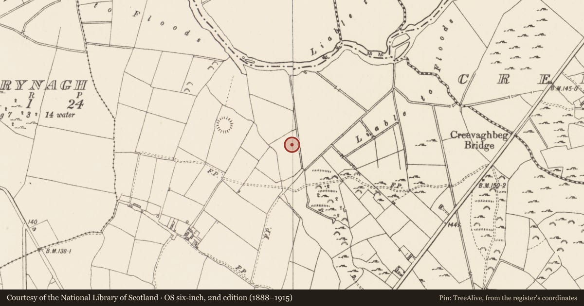 Ordnance Survey six-inch map, 2nd edition (1888–1915) covering the location of Fulacht fia, Rathmore, County Longford, with a pin at the register's coordinates