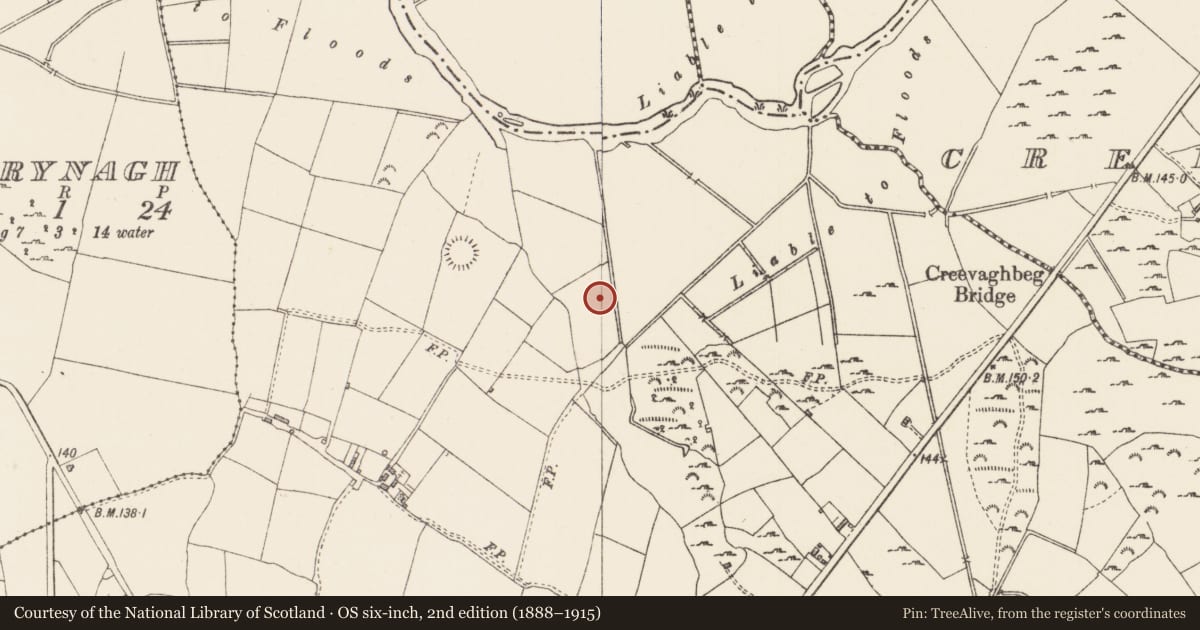 Ordnance Survey six-inch map, 2nd edition (1888–1915) covering the location of Fulacht fia, Rathmore, County Longford, with a pin at the register's coordinates