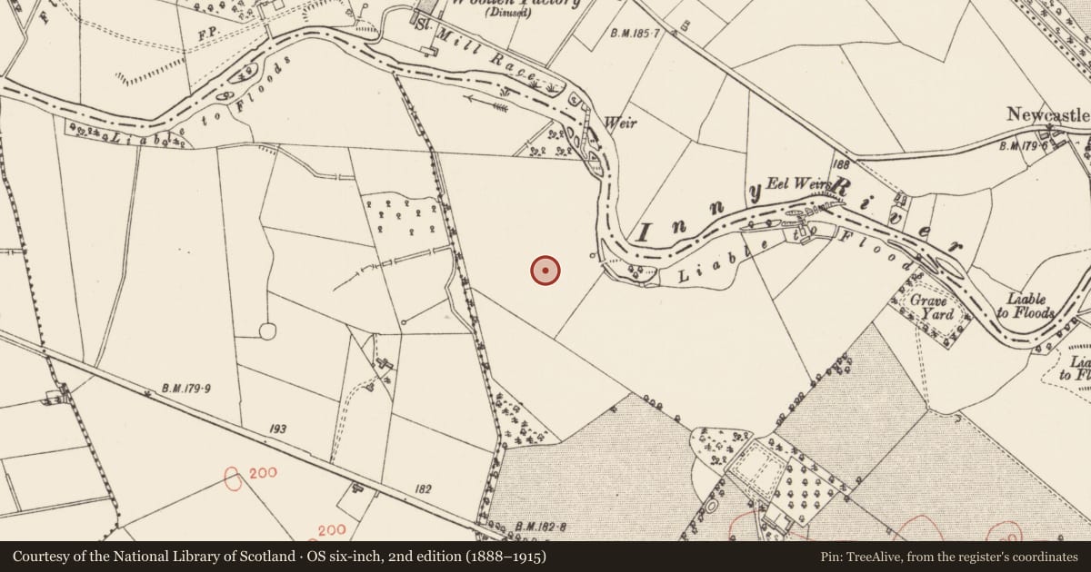 Ordnance Survey six-inch map, 2nd edition (1888–1915) covering the location of Field system, Clooncallow, County Longford, with a pin at the register's coordinates