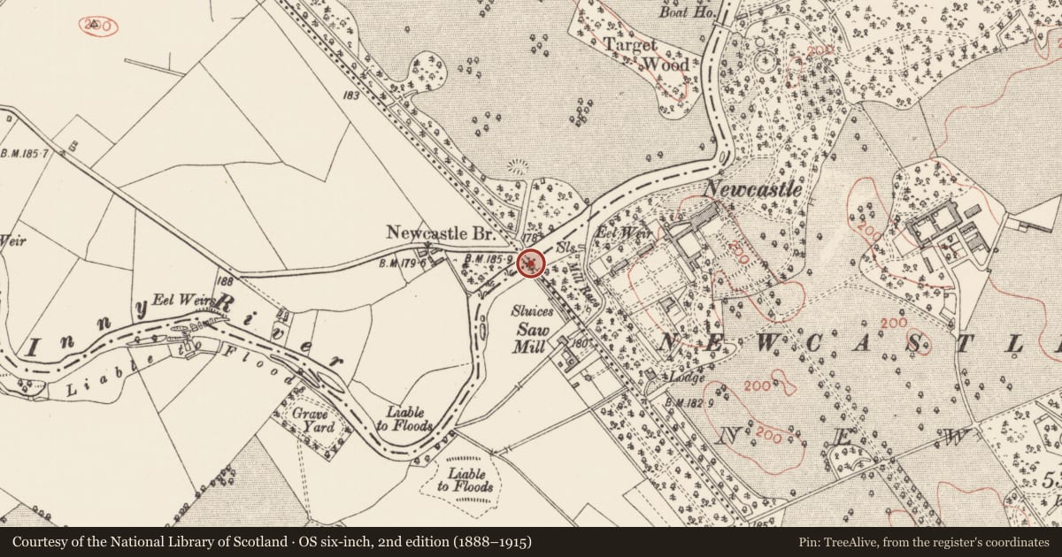 Ordnance Survey six-inch map, 2nd edition (1888–1915) covering the location of Bridge, Newcastle, County Longford, with a pin at the register's coordinates