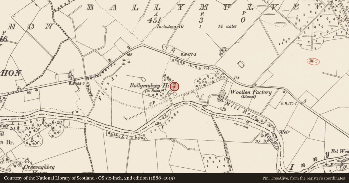 Ordnance Survey six-inch map, 2nd edition (1888–1915) covering the location of Castle - unclassified, Ballymulvey, County Longford, with a pin at the register's coordinates