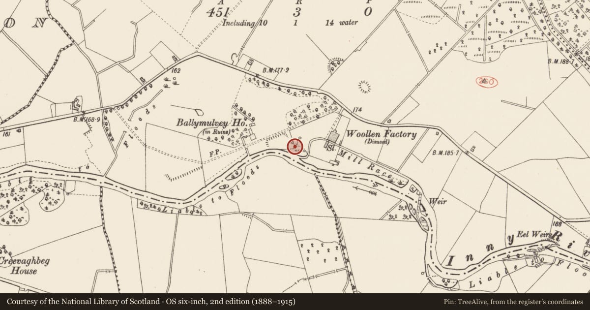 Ordnance Survey six-inch map, 2nd edition (1888–1915) covering the location of Fish-pond, Ballymulvey, County Longford, with a pin at the register's coordinates