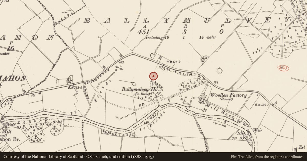 Ordnance Survey six-inch map, 2nd edition (1888–1915) covering the location of Earthwork, Ballymulvey, County Longford, with a pin at the register's coordinates