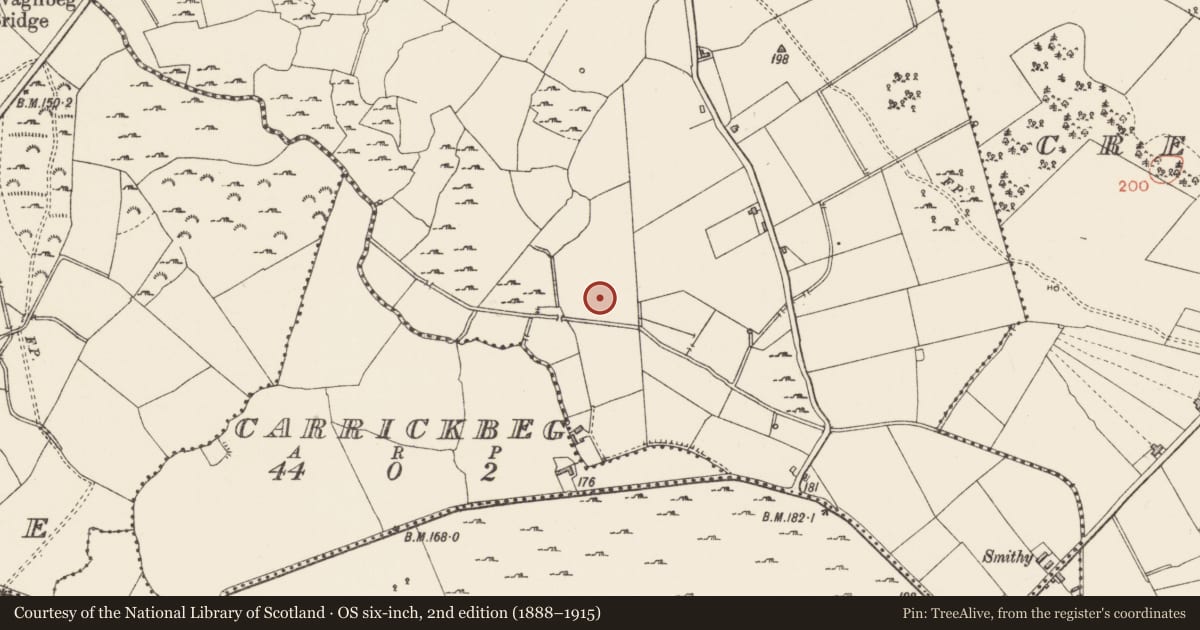 Ordnance Survey six-inch map, 2nd edition (1888–1915) covering the location of Burial, Creevagh Beg, County Longford, with a pin at the register's coordinates