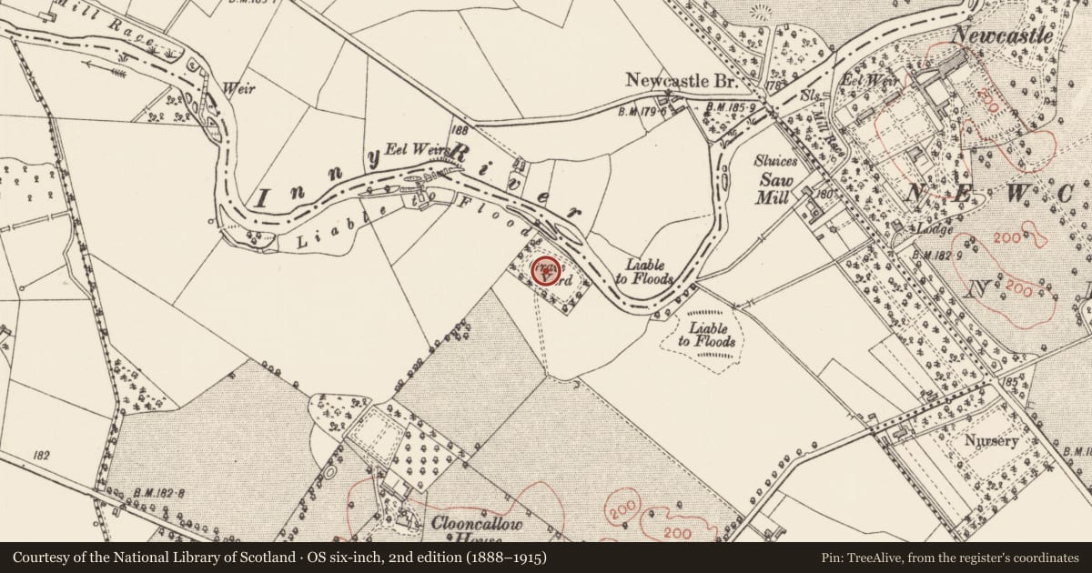 Ordnance Survey six-inch map, 2nd edition (1888–1915) covering the location of Graveyard, Clooncallow, County Longford, with a pin at the register's coordinates