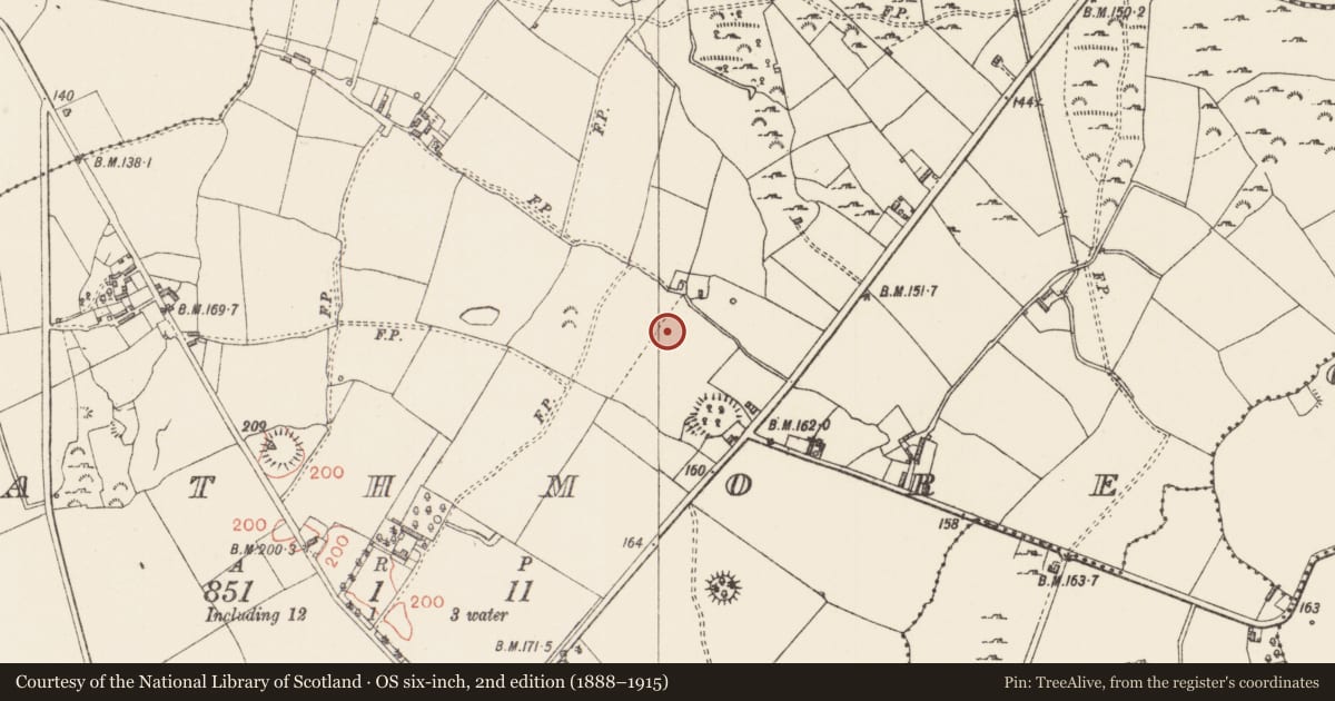 Ordnance Survey six-inch map, 2nd edition (1888–1915) covering the location of Enclosure, Rathmore, County Longford, with a pin at the register's coordinates