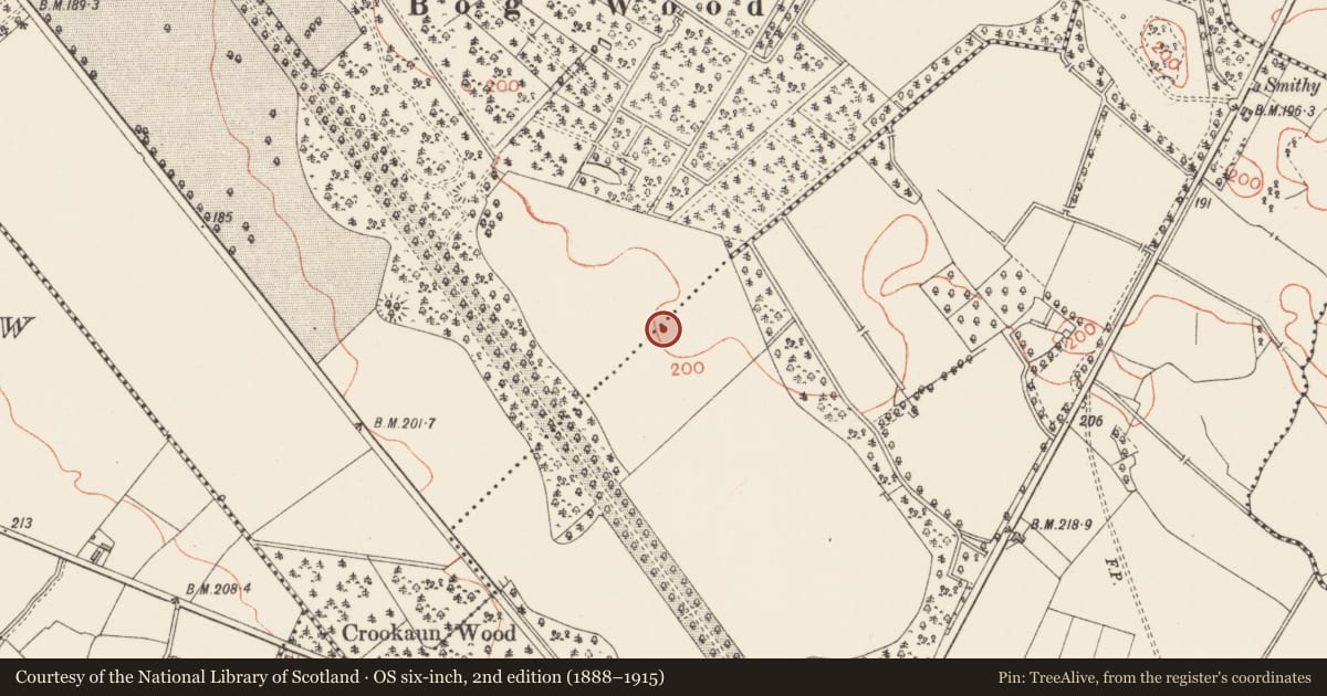 Ordnance Survey six-inch map, 2nd edition (1888–1915) covering the location of Fulacht fia, Forgney, Newcastle, County Longford, with a pin at the register's coordinates