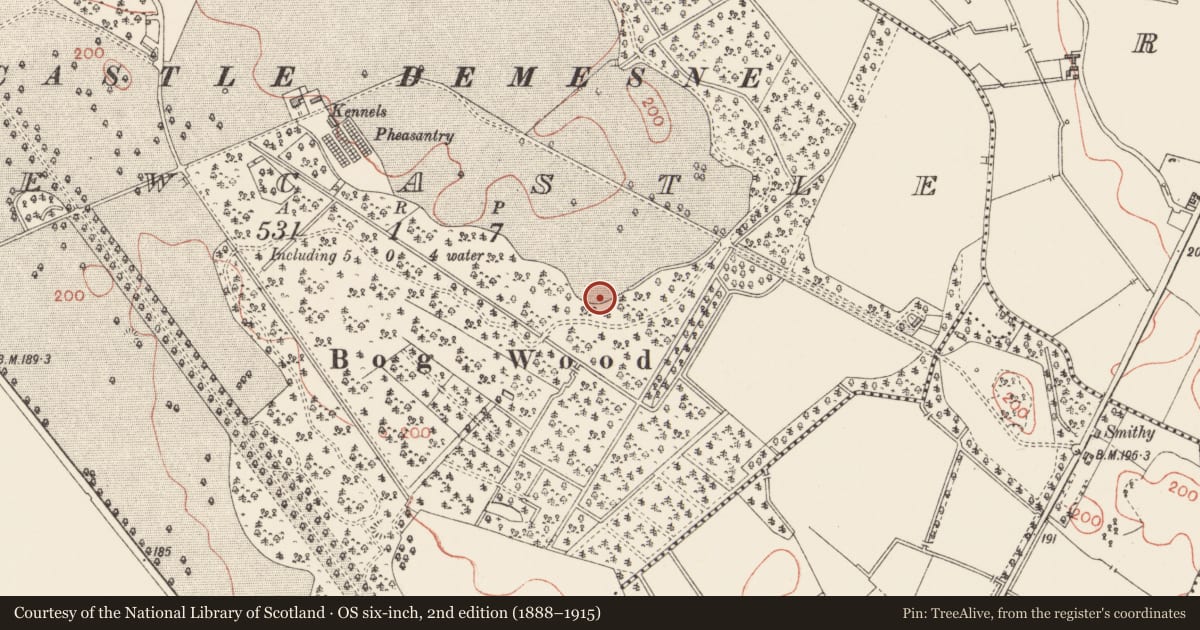 Ordnance Survey six-inch map, 2nd edition (1888–1915) covering the location of Burnt spread, Newcastle, County Longford, with a pin at the register's coordinates