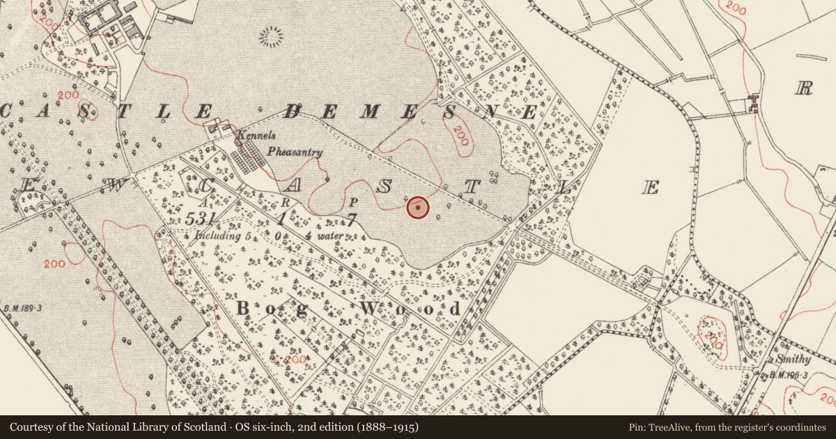 Ordnance Survey six-inch map, 2nd edition (1888–1915) covering the location of Burnt spread, Newcastle, County Longford, with a pin at the register's coordinates