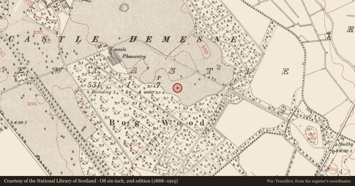 Ordnance Survey six-inch map, 2nd edition (1888–1915) covering the location of Burnt spread, Newcastle, County Longford, with a pin at the register's coordinates