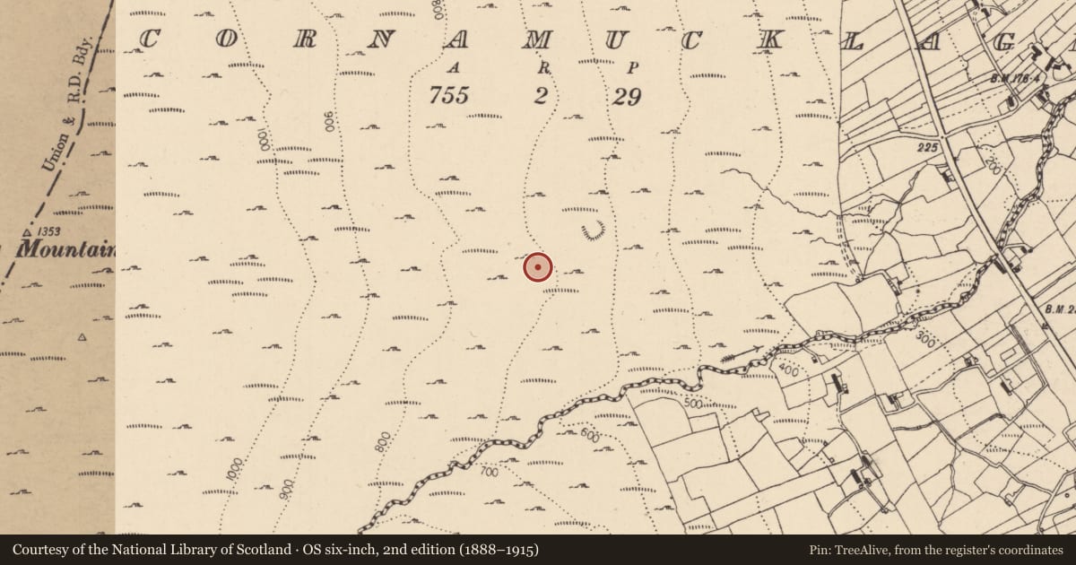 Ordnance Survey six-inch map, 2nd edition (1888–1915) covering the location of Hut site, Cornamucklagh, County Louth, with a pin at the register's coordinates