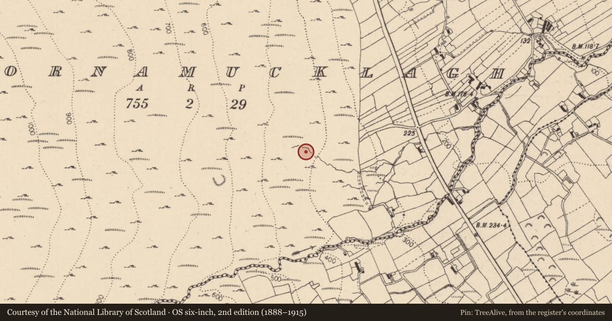 Ordnance Survey six-inch map, 2nd edition (1888–1915) covering the location of Fulacht fia, Cornamucklagh, County Louth, with a pin at the register's coordinates