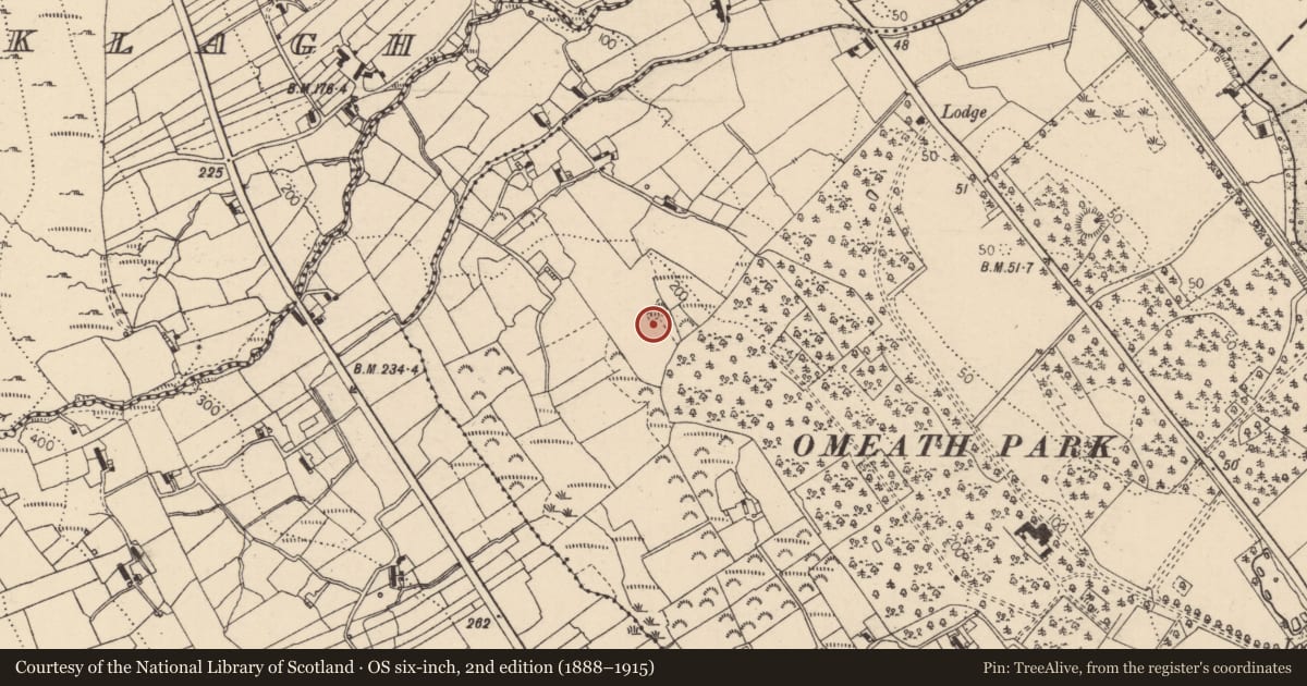 Ordnance Survey six-inch map, 2nd edition (1888–1915) covering the location of Ringfort - unclassified, Drummullagh, County Louth, with a pin at the register's coordinates