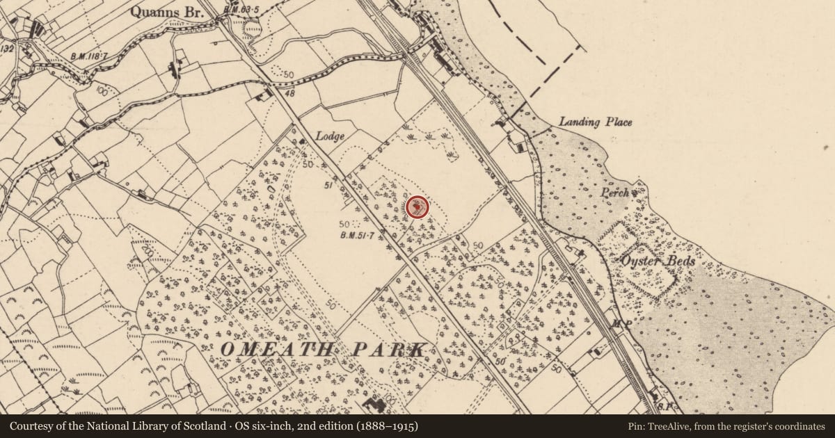 Ordnance Survey six-inch map, 2nd edition (1888–1915) covering the location of Ringfort - rath, Drummullagh, County Louth, with a pin at the register's coordinates
